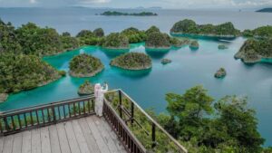 Raja Ampat Terancam? Seleb Pasang Badan!