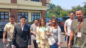 Tasya Farasya Resmi Janda! Hak Asuh Anak Jatuh ke Tangan Siapa?